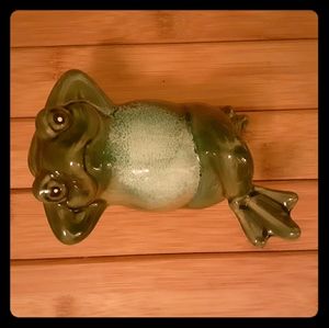 Glass frog